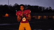 Sjfcfootball GIF by Fisher Athletics