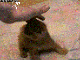 playing best of week GIF by Cheezburger