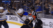 excited ice hockey GIF by NHL