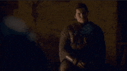 vulture game of thrones brienne podrick game of thrones 802 GIF