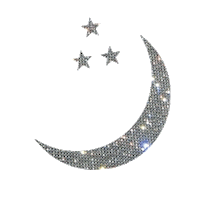 night dancing Sticker by Jenna Paulette