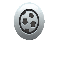 ValleySportsAcademy vsa vsasoccer Sticker