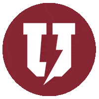 Schenectady Union Athletics Sticker by Union College