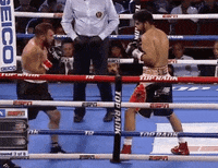 toprank fight boxing fighting espn GIF