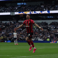 Happy Premier League GIF by AFC Bournemouth
