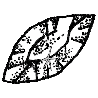 Art Fashion Sticker by Nicole Miller