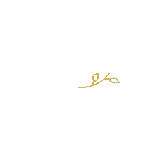revuclinic revu revu clinic revu klinika esthetics clinic Sticker