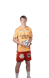 Celebration Handball Sticker by GOG Sport