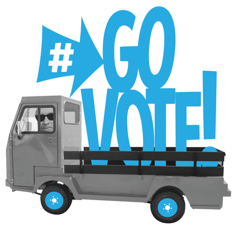 Voting 2020 Election GIF by #GoVote