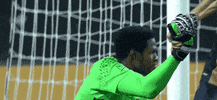 andre blake motivation GIF by Philadelphia Union