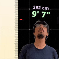 9' 7"