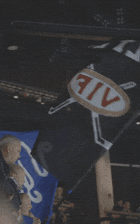 VIFHockey hockey fan e 12 GIF