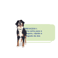 Boehringeringelheim Sticker by Nexgard Brasil