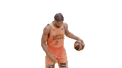 Liga Endesa Spinning Sticker by ACB