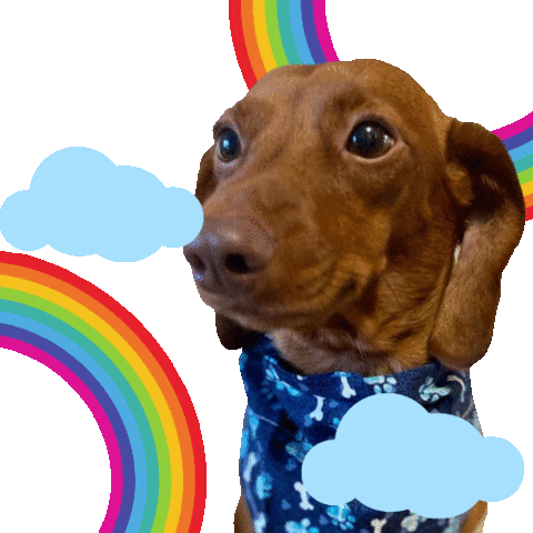 Missing You Rainbow Sticker