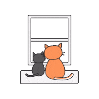 Cats Waiting Sticker