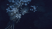 Swim Turtle GIF by Beyond Blue