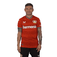 Love And Peace Win Sticker by Bayer 04 Leverkusen