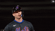 Pete Alonso Baseball GIF by New York Mets