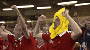 happy world cup GIF by World Rugby