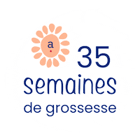 Pregnancy Grossesse Sticker by Absorba