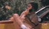 radio shack hello GIF by Texas Archive of the Moving Image