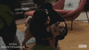 Hbo Weed GIF by High Maintenance