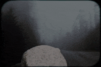 Music Video Acid GIF by Refresh Records