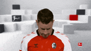 Line Up Smile GIF by Bundesliga