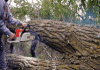 chainsaw GIF