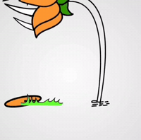 Lotus Flower Bjp GIF
