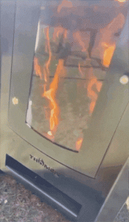 GIF animado