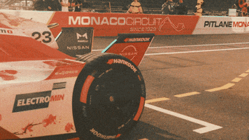Formula E Racing GIF by Nissan Motorsport