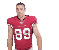 Arizona Cardinals Football Sticker by NFL