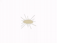 GIF by Queen City Collective Coffee
