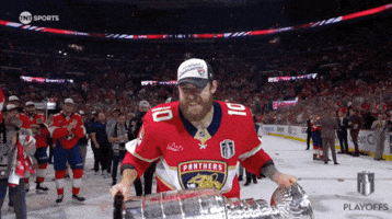 Stanley Cup Playoffs Win GIF by NHL