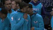Charlotte Hornets Lol GIF by NBA