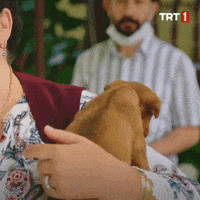 Aaaa See GIF by TRT