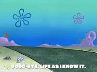 season 7 greasy buffoons GIF by SpongeBob SquarePants