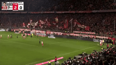 highansol93 giphyupload GIF