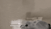 GIF by ARDEX Australia