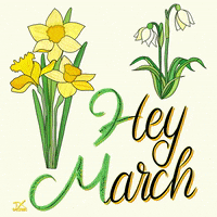 March 1St Spring GIF by Dani K.