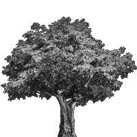 Work Tree Sticker by STRABAG
