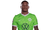 Football No Sticker by VfL Wolfsburg