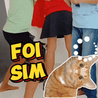 Sim Foi GIF