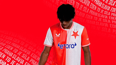Football Celebrate GIF by SK Slavia Praha