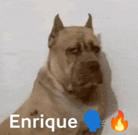Enrique GIF