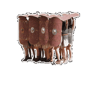 Museumparkarcheon roman archeon shieldwall romeinen Sticker