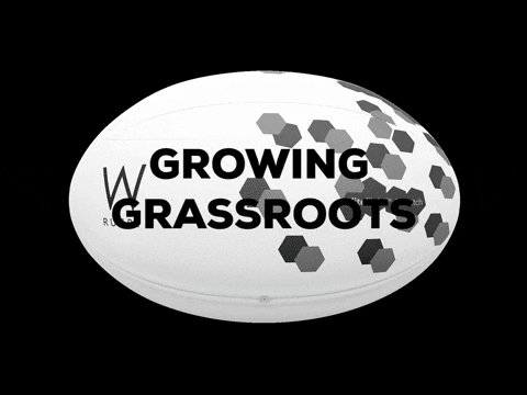 WRUGBY giphygifmaker rugby rugby union rugby ball GIF