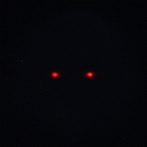 skull glow GIF by Erica Anderson